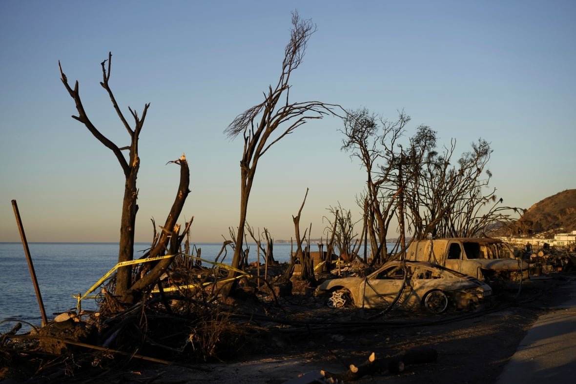 california-wildfires-40 Charred vehicles beside a body of water