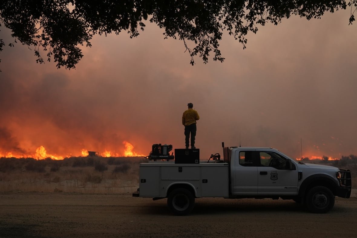 california-wildfires-47 A firefighter stands on a box in the back of a pickup truck watching a wildfire in the distance.