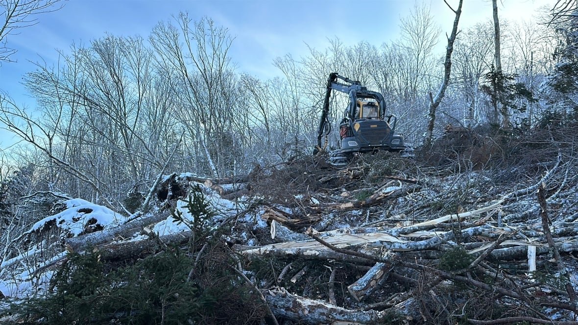 A big machine is shown amongst trees it has cut down for export to the U.S.