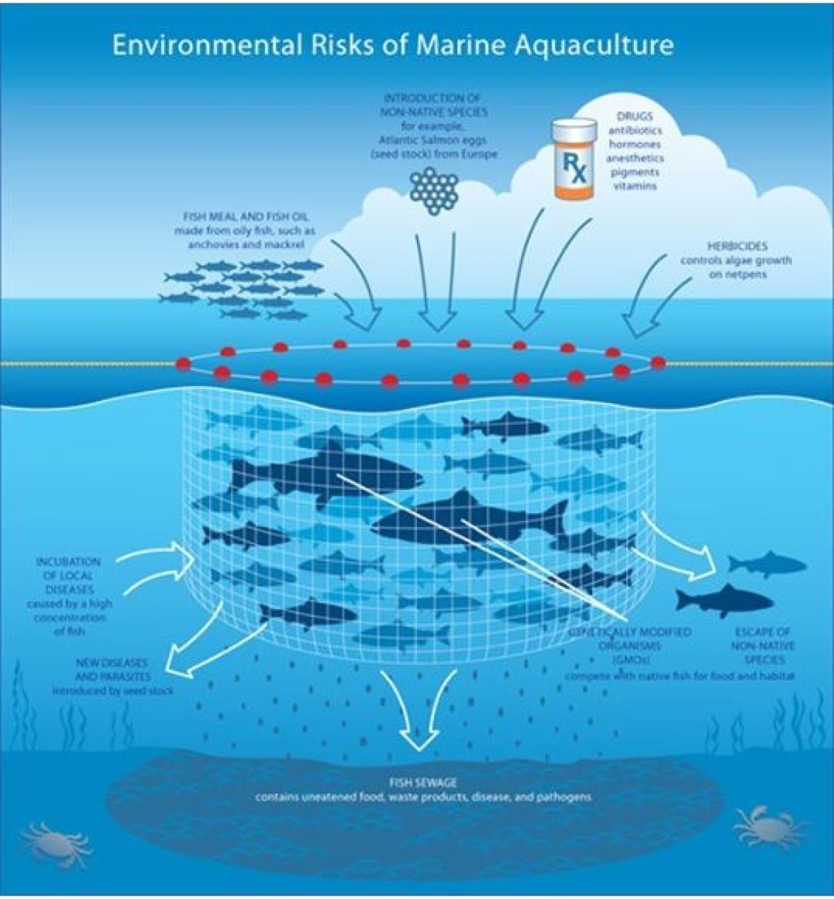A diagram of a net pen holding salmon in the ocean