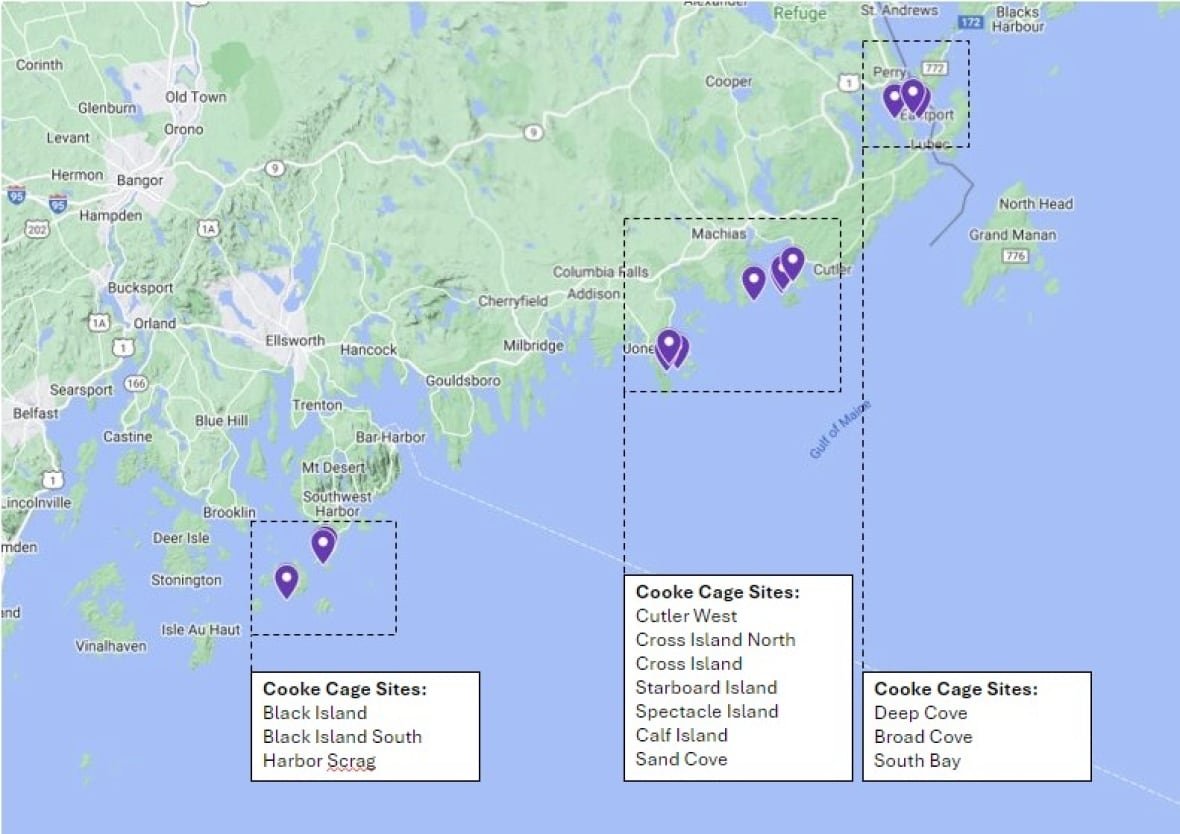 A map of the Maine coast