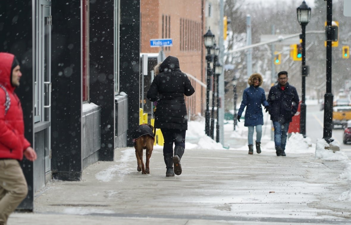 People walk on a downtown sidewalk as it snows lightly