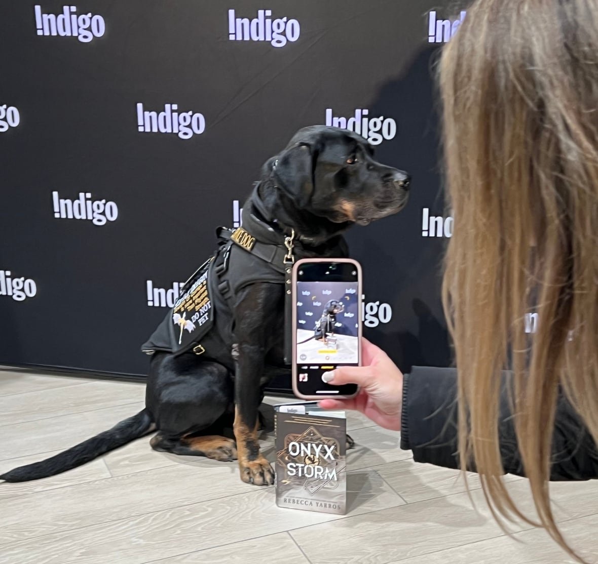 indigo-onyx-storm-dog A dog sits behind a book that reads 'Onyx Storm' in front of a backdrop that says 'Indigo' as a person takes a photo.
