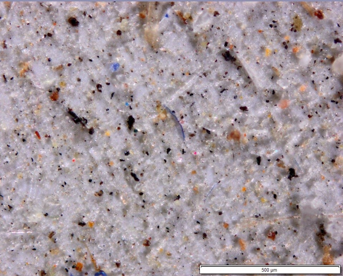 Microplastic particles look like speckles in a variety of colours and shapes.