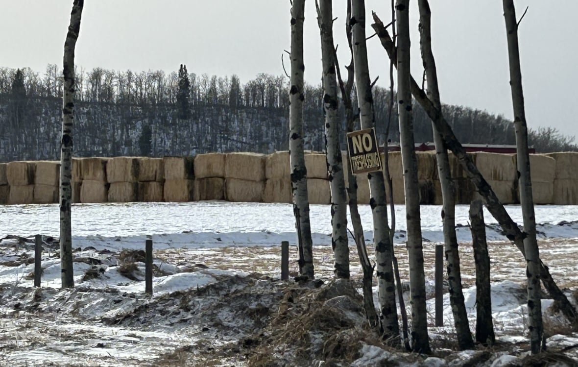 orphan-well-bale-fence Stacked straw bales are spread across a snowy field. Several small trees are pictured in the foreground. A no tresspassing sign hangs on one of the trees.