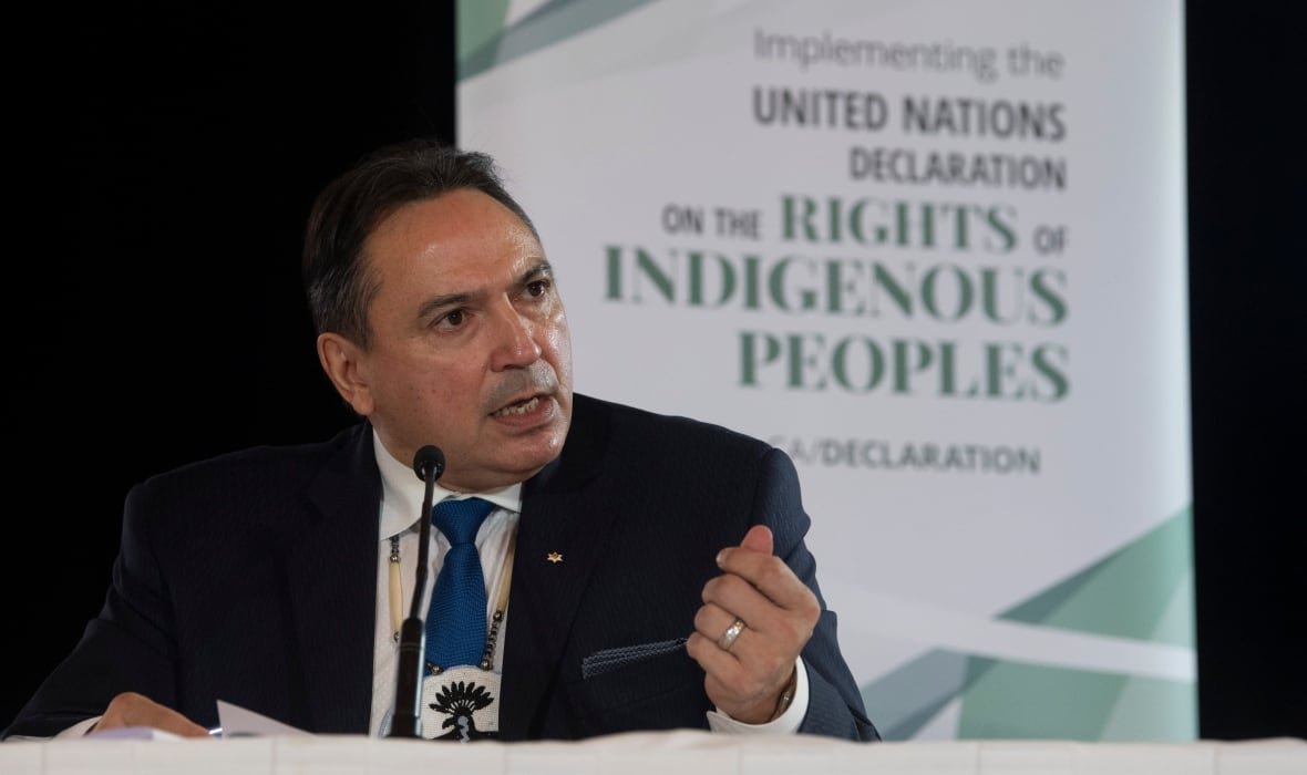 parliament-undrip-20201203 A man wearing a dark suit speaks into a microphone in front of a sign that reads: United Nations Declaration on the Rights of Indigenous Peoples.