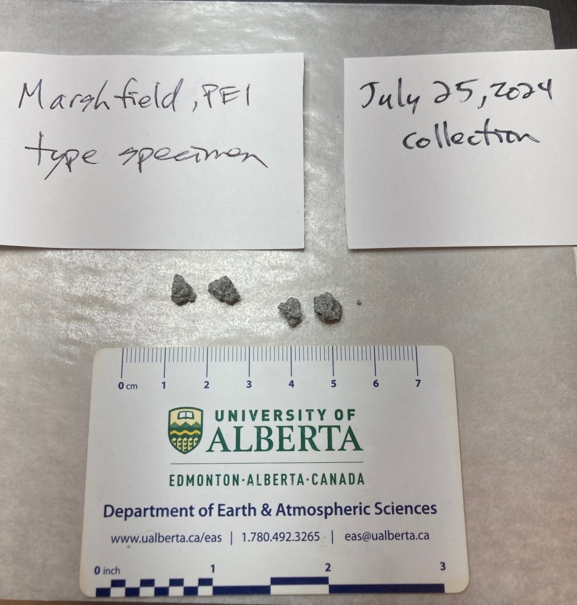 pei-meteorite-strike Four small rock fragments sit on a table.