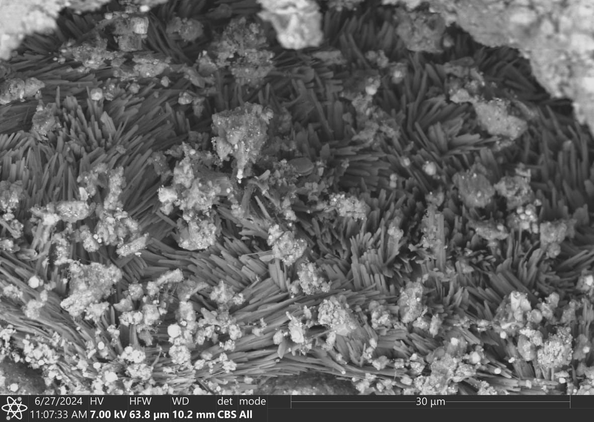 sodium-carbonate Black and white microscope image of needles and particles