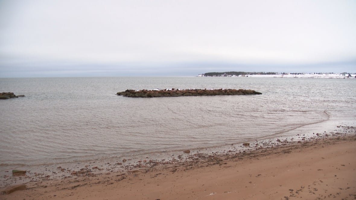 a beach