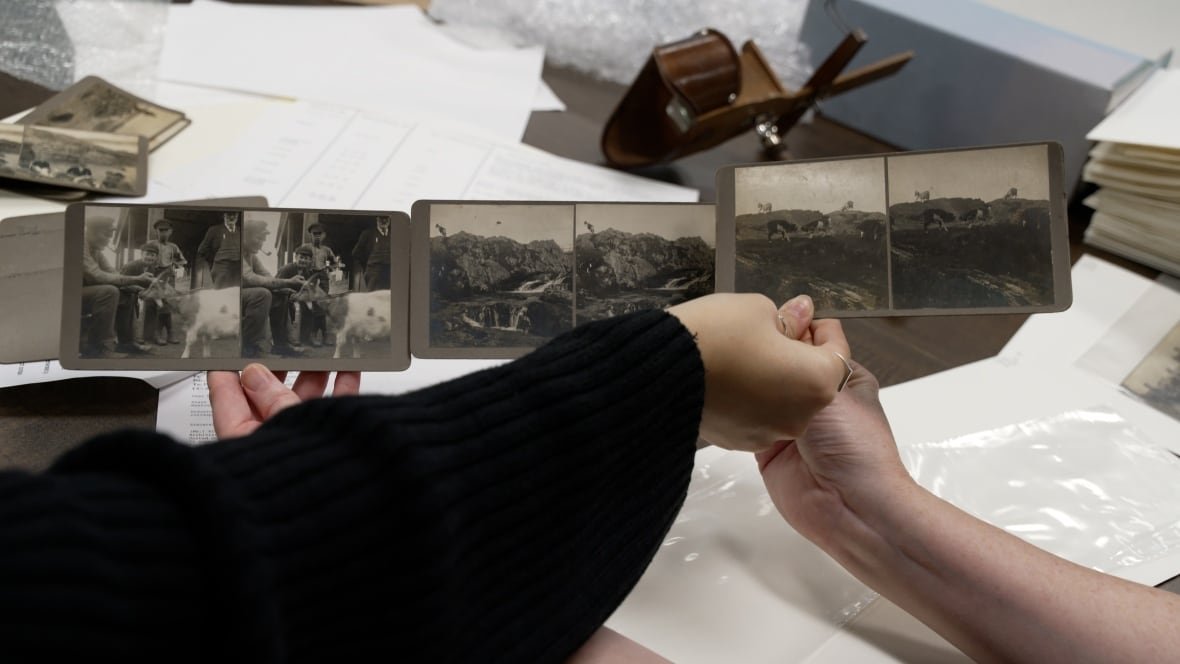 Three stereoscope photographs held side-by-side.