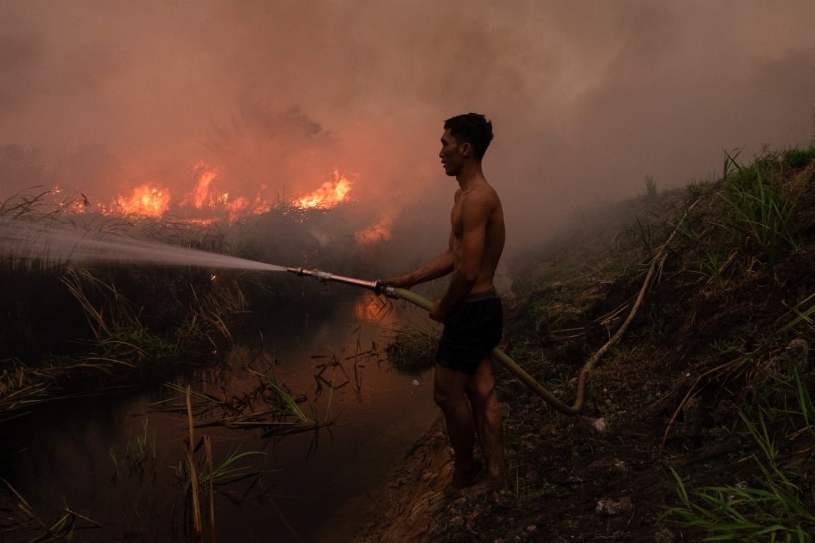 a chilli plantation owner trying to extinguish a peatland fire to protect his property in Ogan Ilir, South Sumatra.