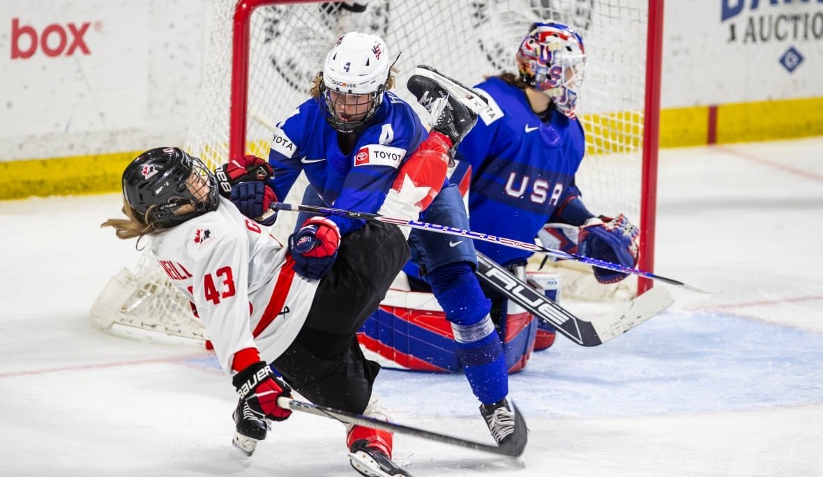 canada-us-hockey-2 A Canadian hockey player is hit by an American player on the ice.
