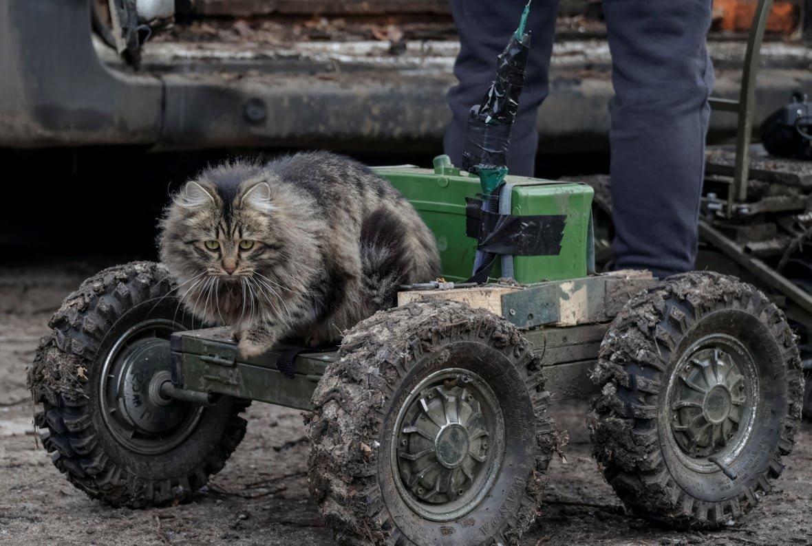 A cat sits on an unmanned ground vehicle in Kharkiv, Ukraine.