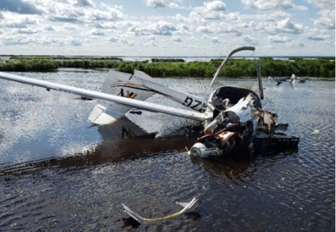 The wreckage of a small plane sits in the water, surrounded by trees.