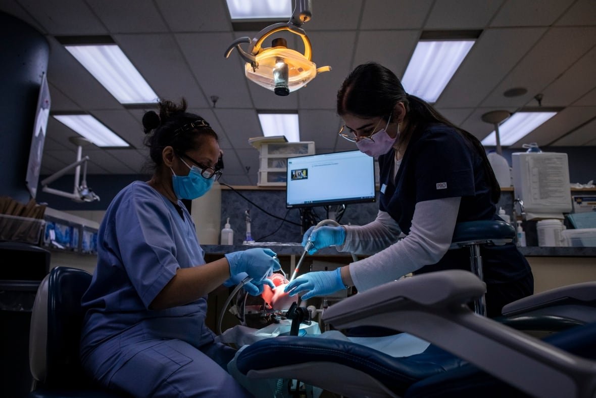 dental-plan Students are pictured at Vancouver Community College dental clinic in Vancouver, B.C, on Friday, November 1, 2024 practicing dental work on a dummy.