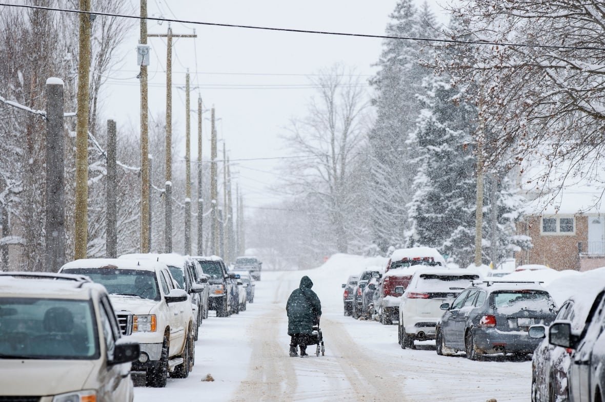 A person using a walker in the middle of a snowy road.