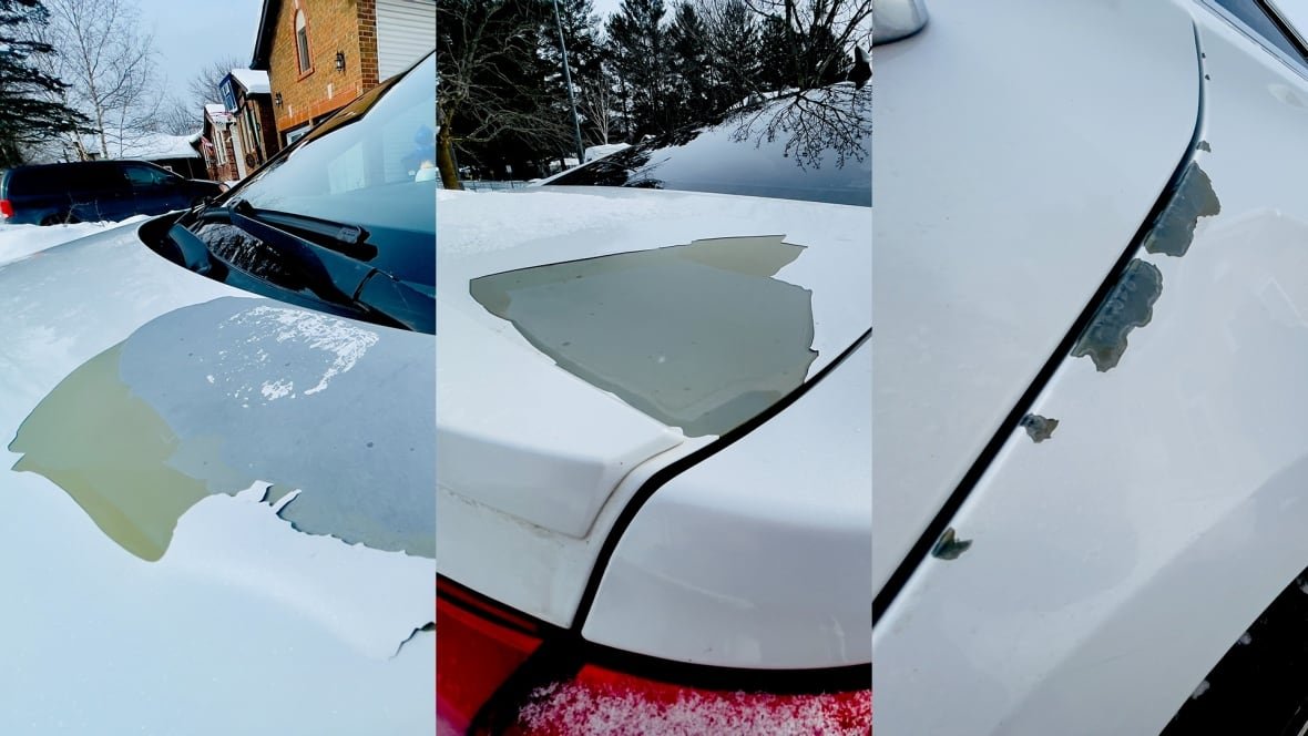 peeling-hyundai-paint A composite image of three photos shows peeling paint on different parts of a white car.