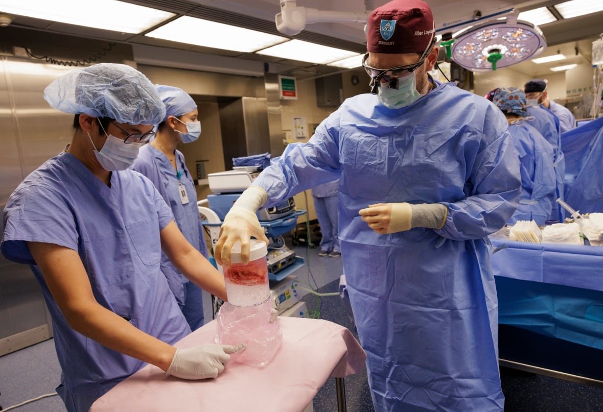 A surgeon from Massachusetts General Hospital in Boston holds a genetically-edited pig kidney in a container.