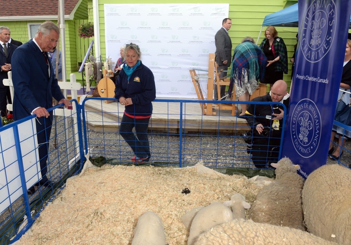 People look at sheep in a pen.