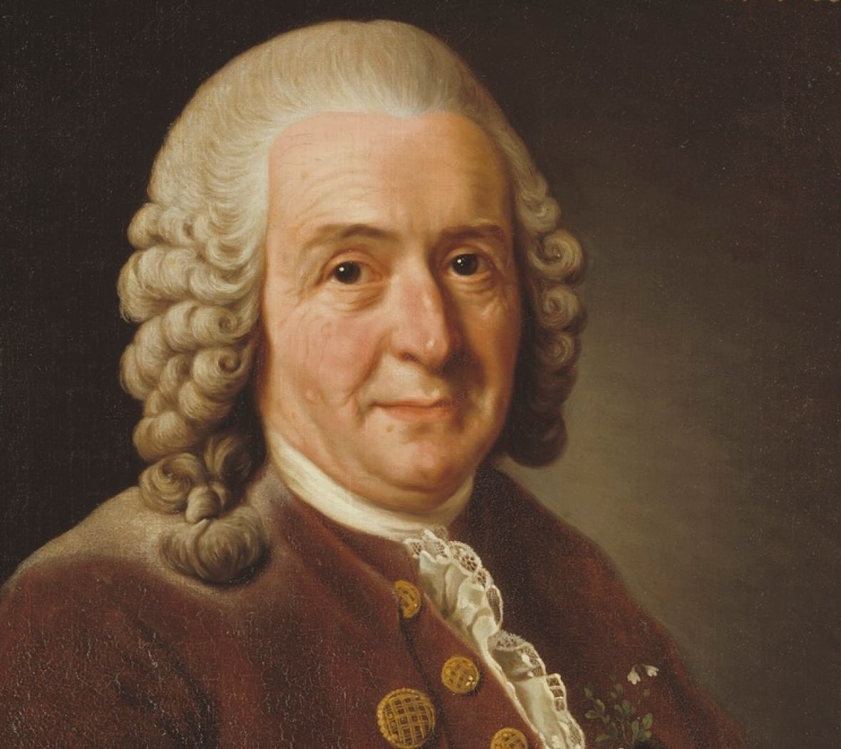 Roslin Alexander:Carl von Linné, 1707-1778.