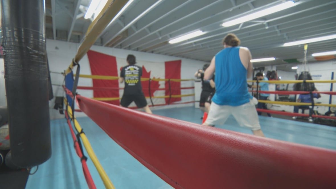 Three boxers training in a boxing ring
