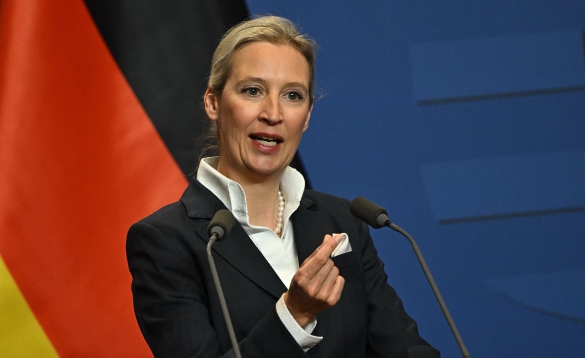 A blonde haired woman gestures with her right hand while speaking in front of a German flag. She is wearing a dark blazer and white collared shirt.
