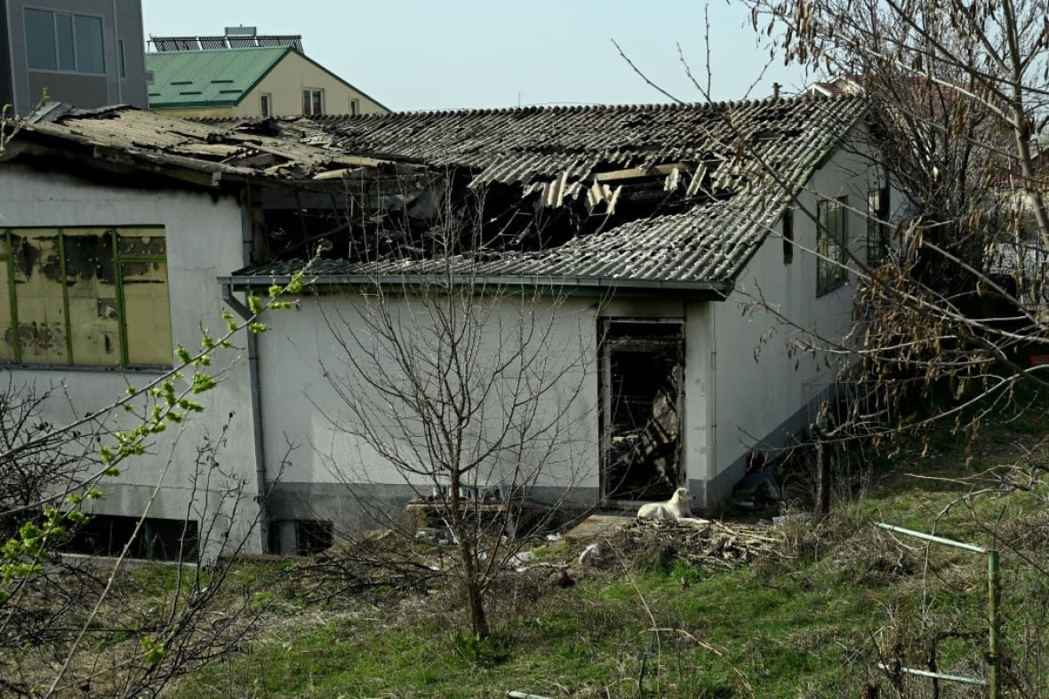 2204817497 A roof of a nightclub that caught fire.