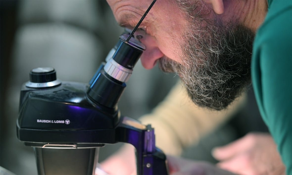 A man with a beard looks into a microscope.