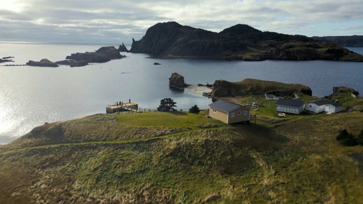 burin-island-1 A panoramic photo captured with a drone of a grassy island with a few homes on it. A few people are standing on the island's wharf.
