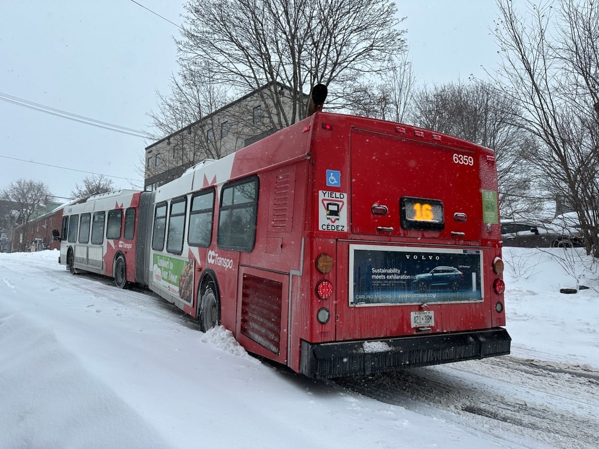 An articulated bus stuck in snow at Henderson and Somerset in Ottawa