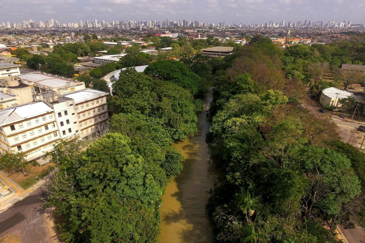climate-cop30-brazil-price-gouging FILE - The Tucunduba River flows along the Federal University of Para in Belem, Brazil, Sept. 27, 2024.