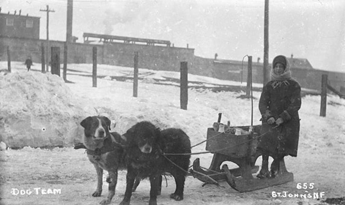 dog-sled-milk-delivery-n-l A black and white photo of a woman on a dog sled with two dogs attached.