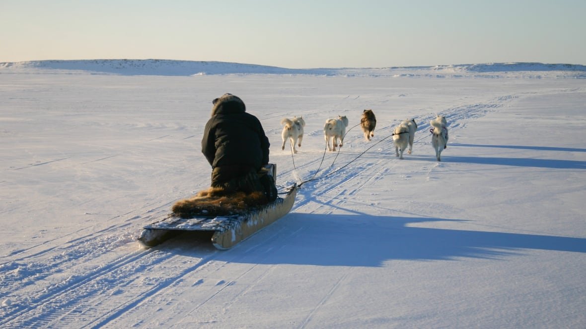 dog-team-nunavik Person on a qamutiik (sled) being pulled by qimmiit (sled dogs).