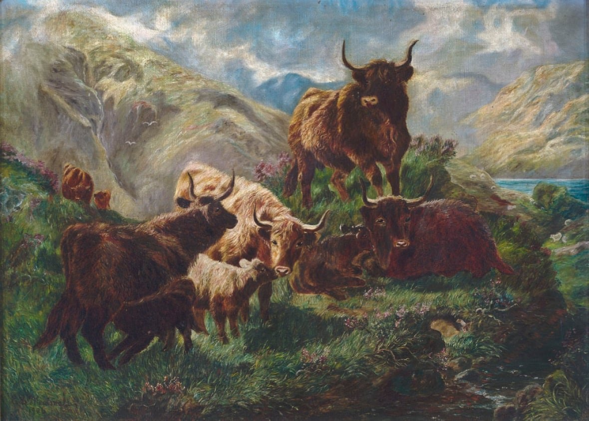 edith-macdonald-brown-1 A painting shows highland cattle.