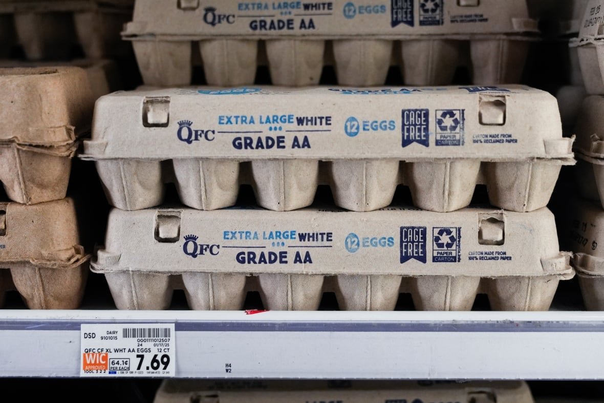 A shelf of egg cartons