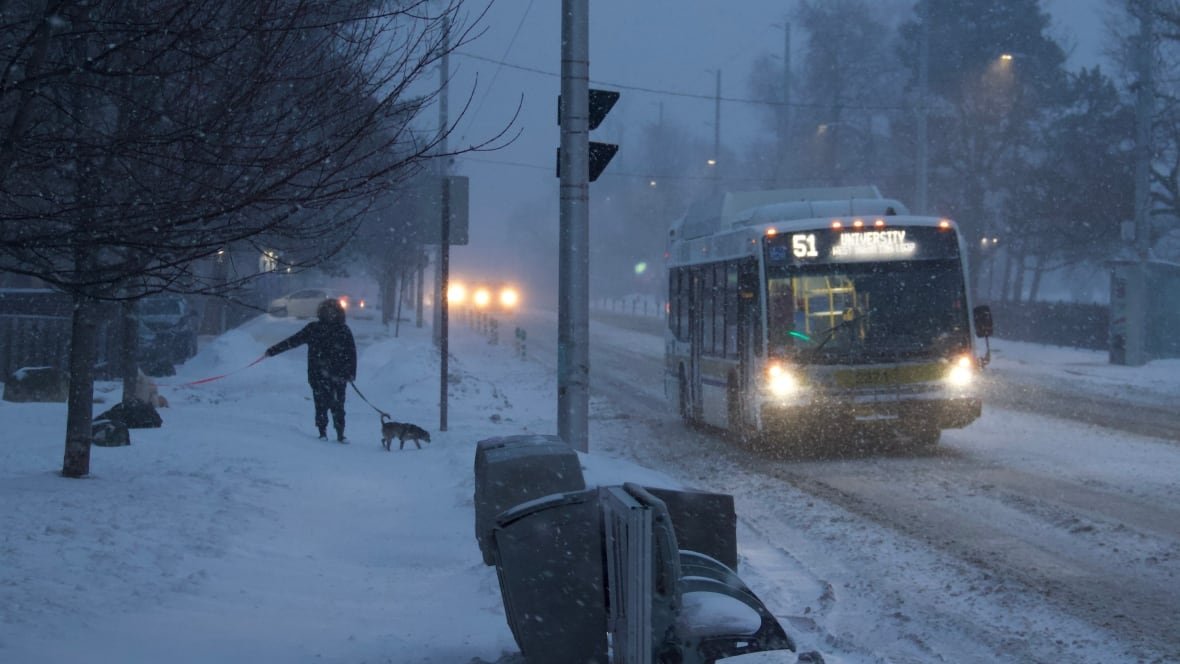 A bus travels down a snowy road. A person on the sidewalk walks two dogs.