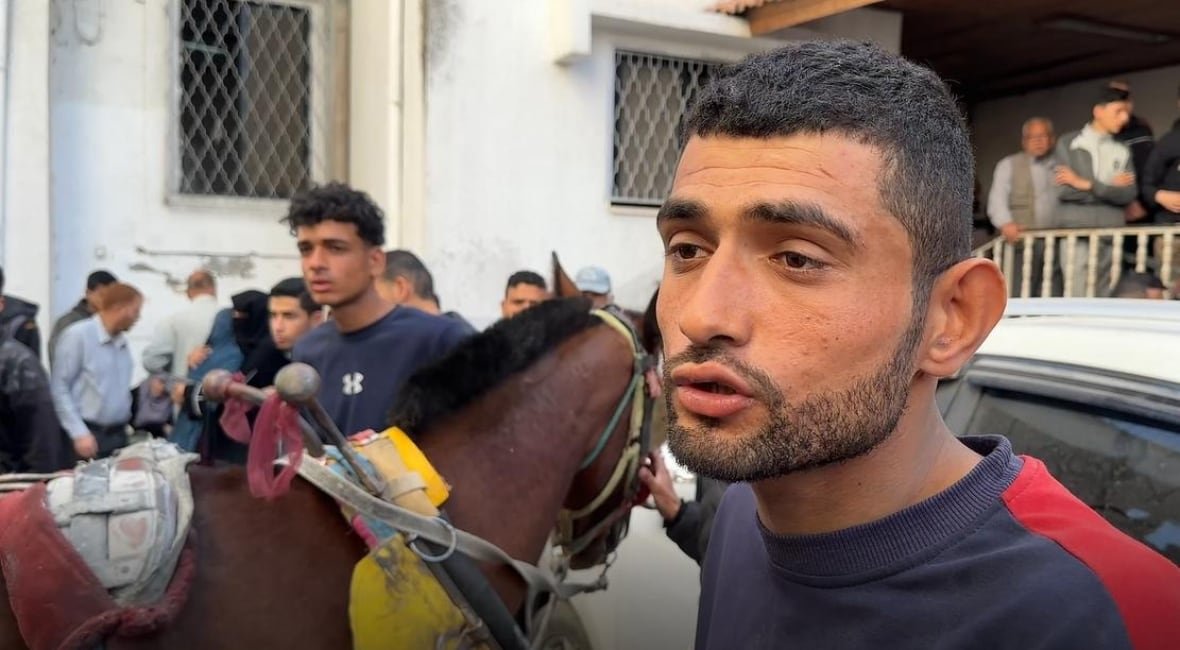 Mahmoud Badr holds onto a horse.