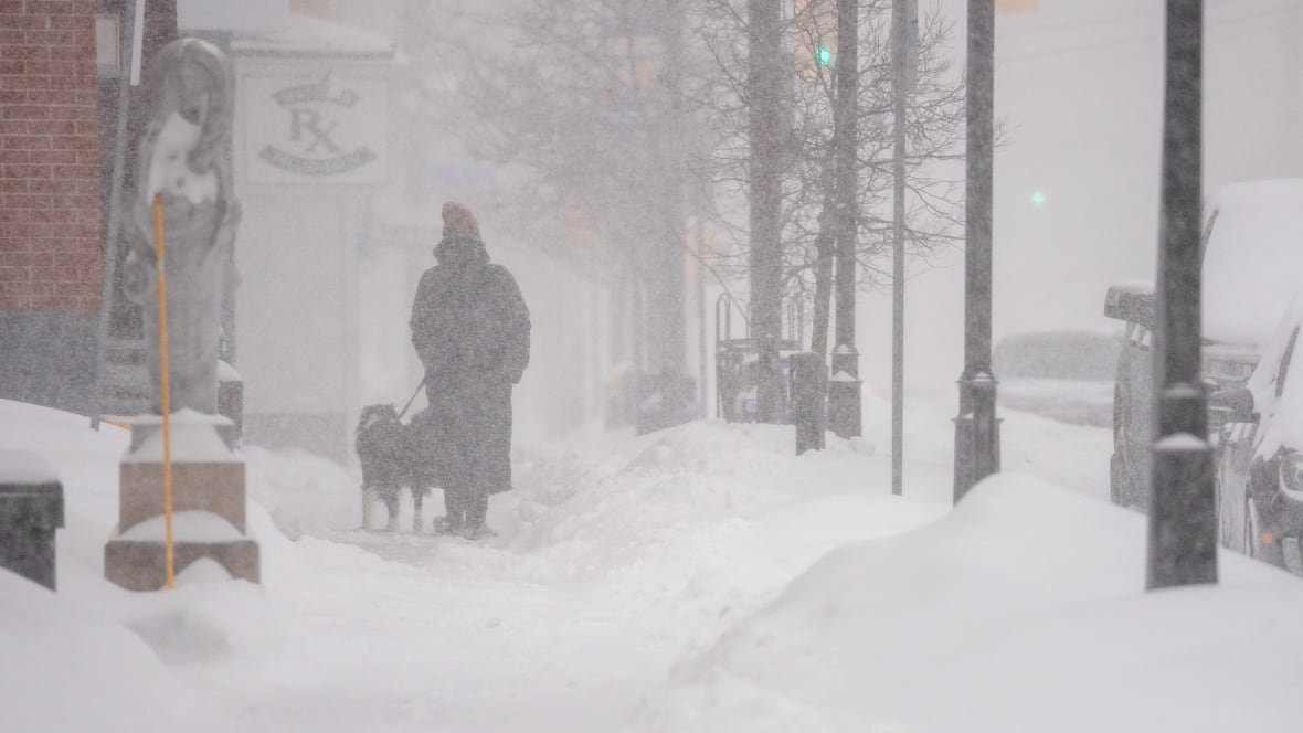 A person and their dog in the snow
