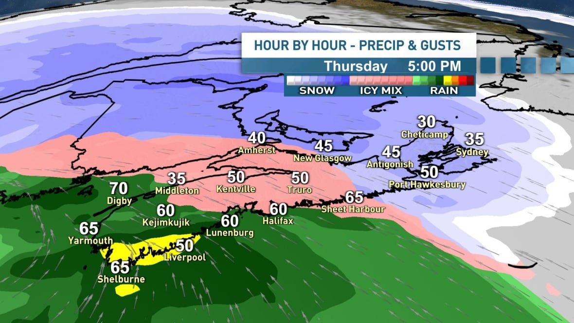storm-feb-13-1 A graphic shows what area of the province will get rain, snow or a mix.