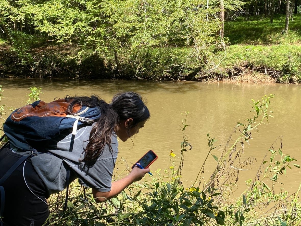 woman-photographing-butterfly Woman leans over and takes picture with phone of butterfly on flower, with river in the background