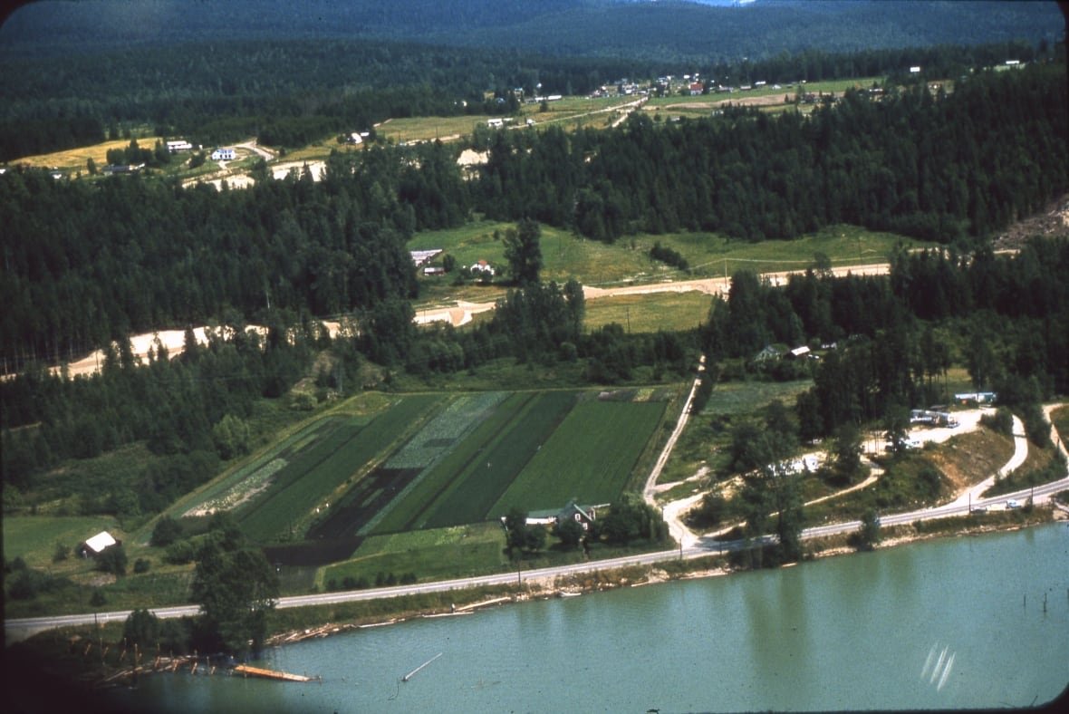 1999-019-442-spicer-farm-july-1968 A farm seen from an ariel view near a river.