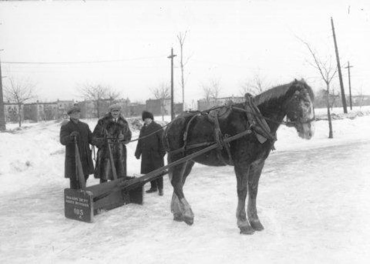 horse-plow A horse-drawn plow which appears to be clearing a hockey rink.