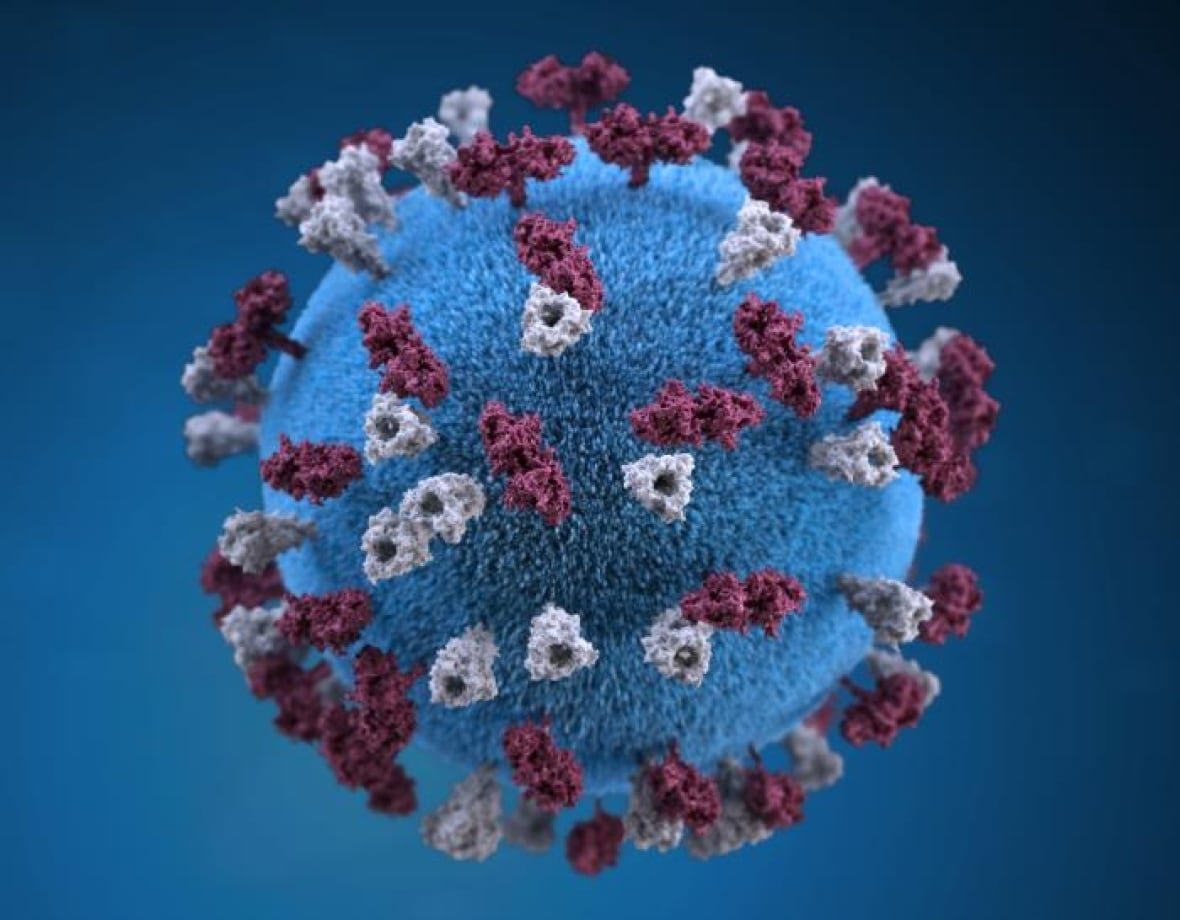 measles-virus A graphic representation of measles.