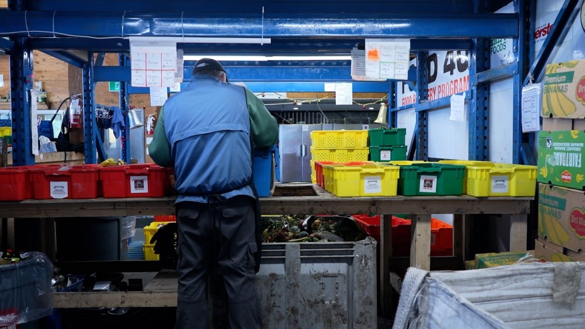 volunteers-at-loaves-and-fish People sort food in coloured bins.