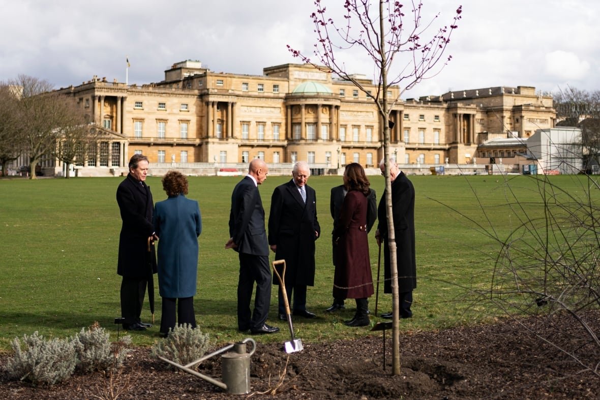 britain-royals Six people stand on grass near a bed where a tree is being planted. A large stone building is in the far background.