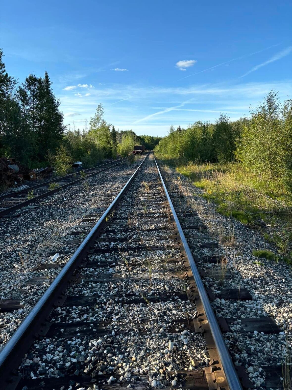 railroad-tracks Picture of rail tracks on the forest