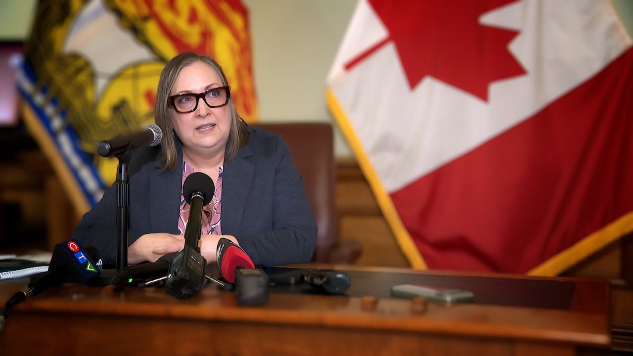 default-256 A woman wearing glasses with dark square frames, a dark blazer and pink shirt speaks into a microphone while sitting at a table and looking to the right side. A New Brunswick flag is in the background on the left and a Canada flag on the right.