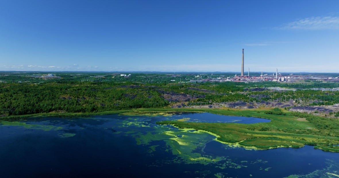 kelly-lake An aerial view of a lake with visible green algae blooms.