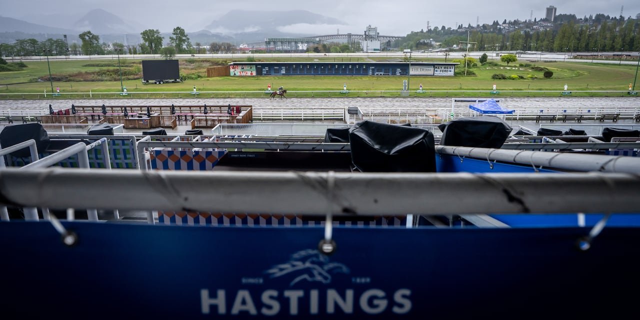 A view of a horse from a grandstand.