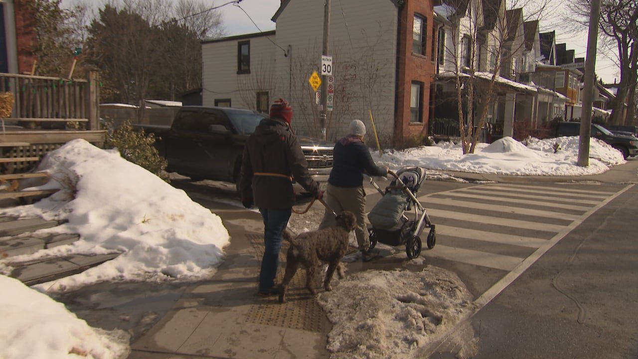 default-412 Woman with stroller, man with dog crossing residential street